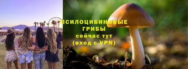 бутират Ростов